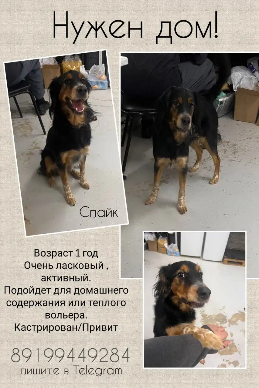 Продажа автомобиля Спайк в Тюмени - Авто в Тюмень