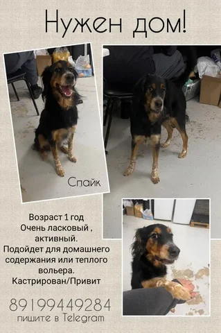 Продажа автомобиля Спайк в Тюмени - Авто в Тюмень