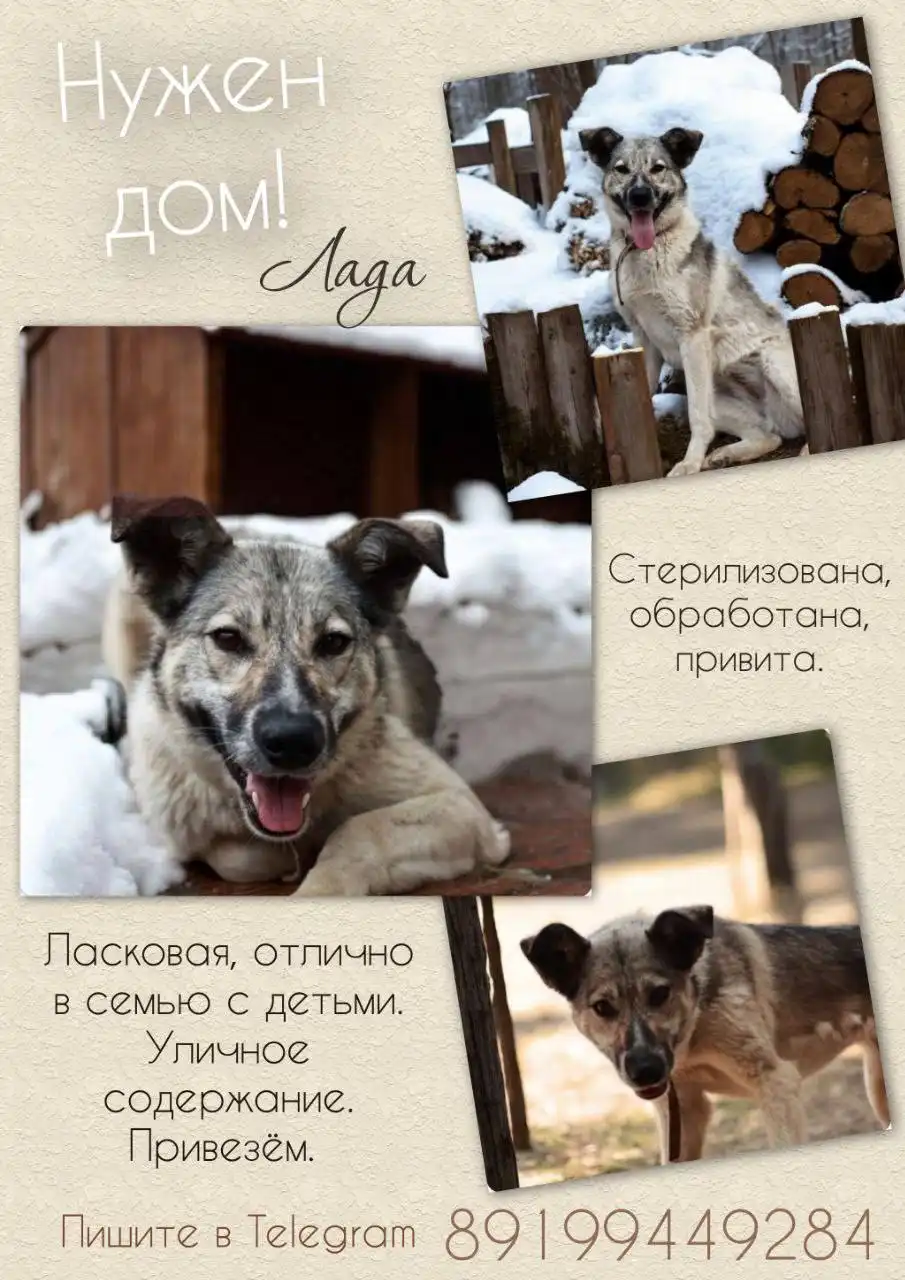 Продажа автомобиля Лада - Легковые автомобили (Авто) в Тюмень