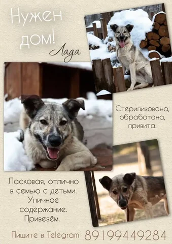 Продажа автомобиля Лада - Легковые автомобили в Тюмень