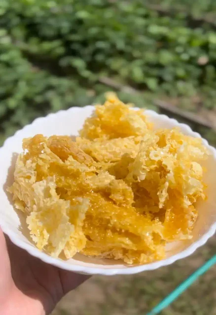 Продажа мёда со своей пасеки, сбор 2025 года - частное объявление в Пермь