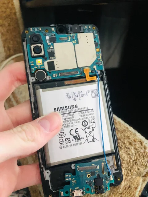 Продажа живого товара в Перми - Барахолка в Пермь