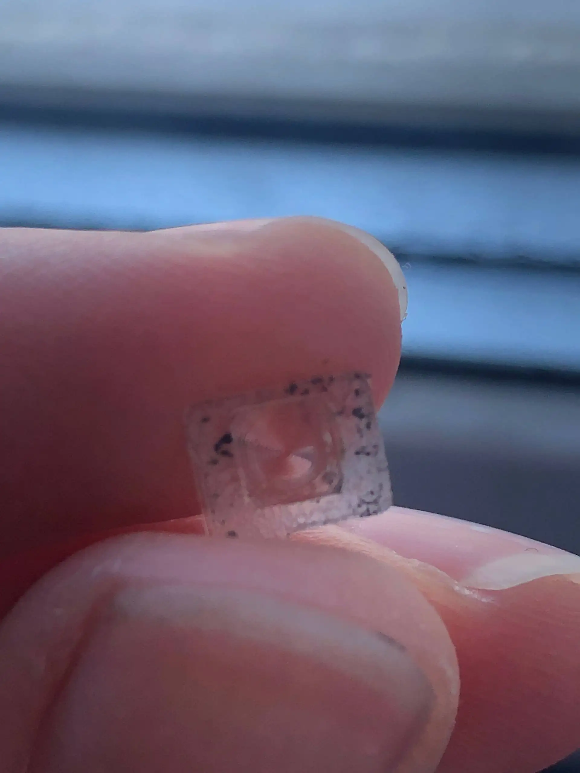 Продажа живого товара в Перми - Барахолка в Пермь