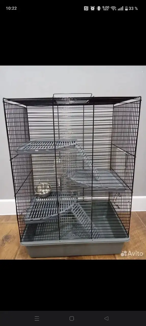 Куплю клетку для крысы Дамбо - Товары для животных (Животные) в Пермь
