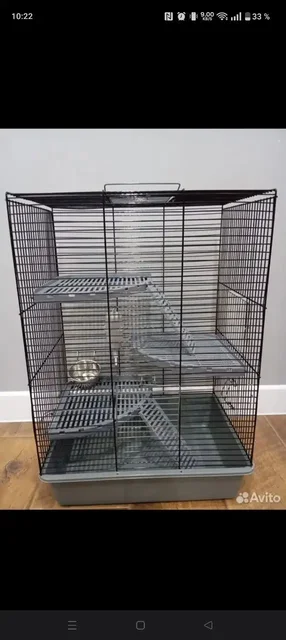 Куплю клетку для крысы Дамбо - Товары для животных в Пермь