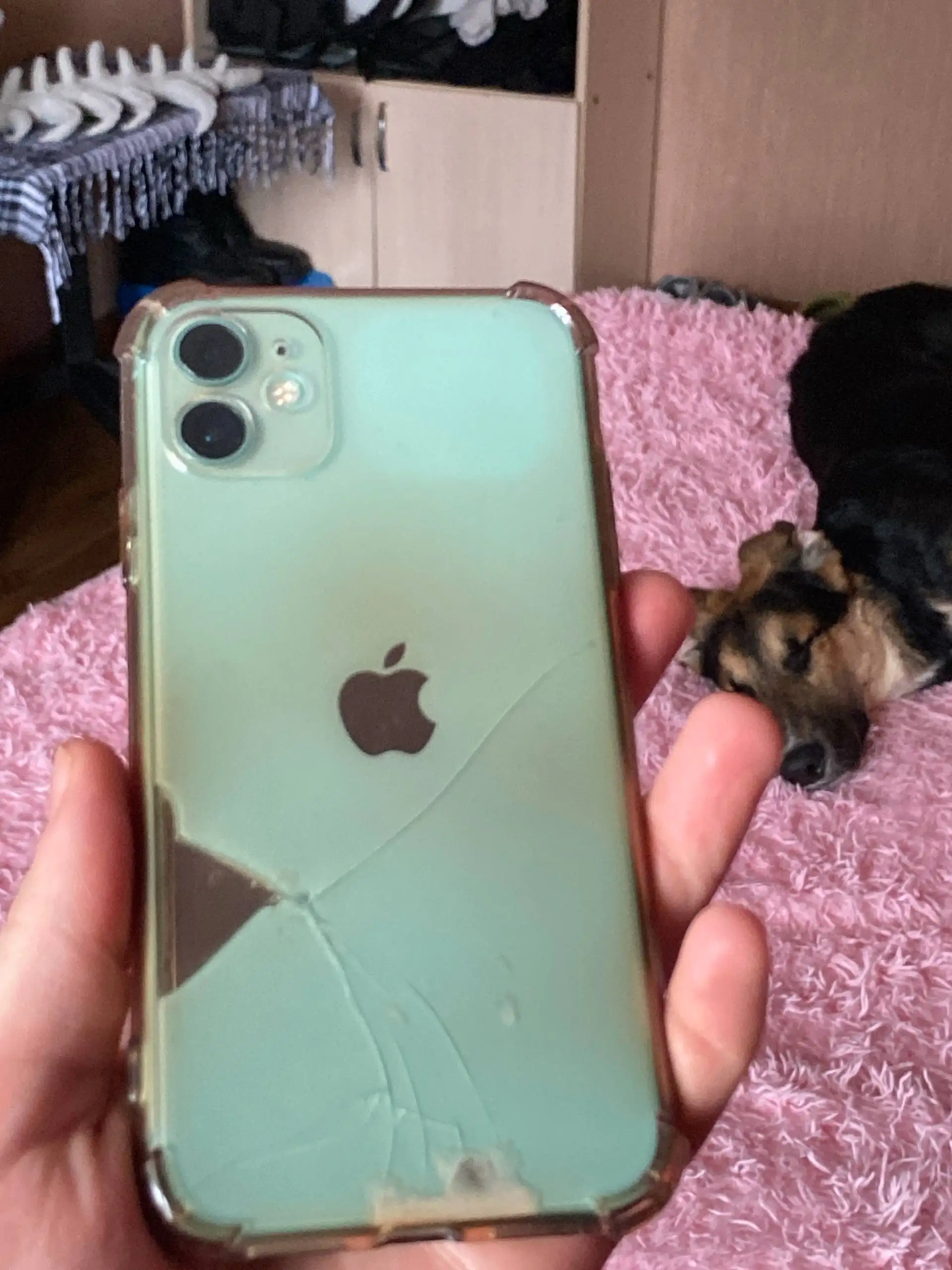 Продажа или обмен пневматики - Барахолка в Пермь