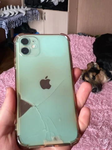 Продажа или обмен пневматики - Товары для животных в Пермь