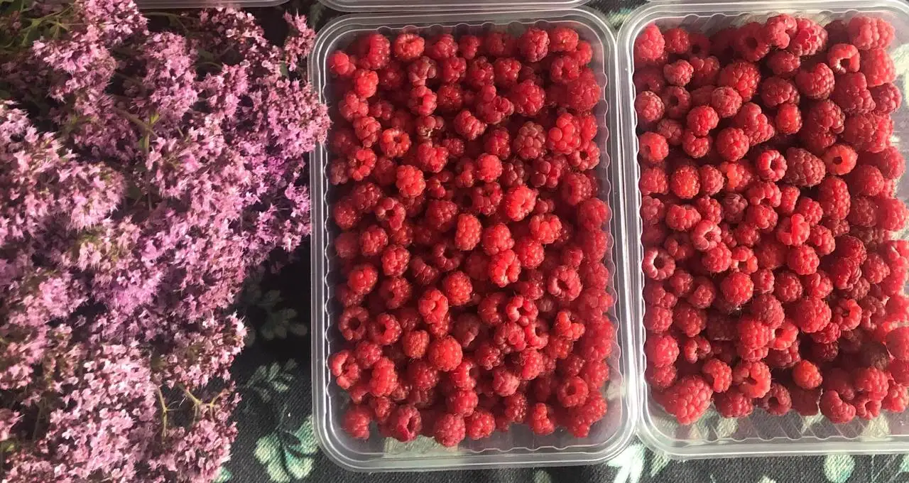 Малина свежая, сбор сегодня - Продукты питания (Барахолка) в Пермь
