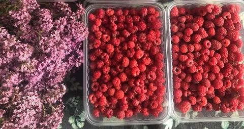 Малина свежая, сбор сегодня - Кроватки в Пермь