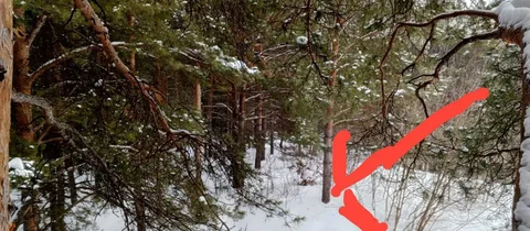 Куплю Xr баланс 5500 - Телефоны и планшеты в Пермь