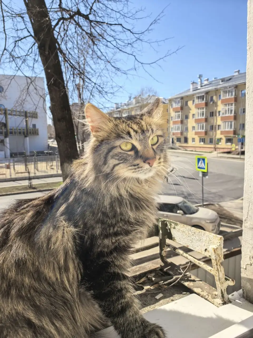 Продажа Apple iPhone в Перми - Смартфоны (Электроника) в Пермь