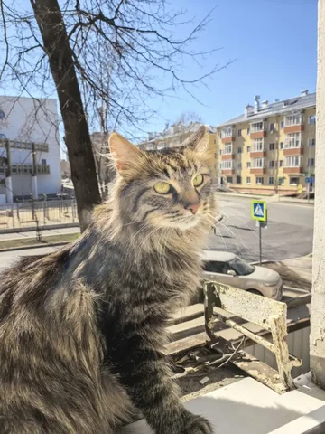 Продажа Apple iPhone в Перми - Телефоны и смартфоны в Пермь