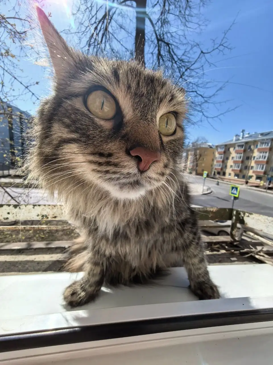 Продажа Apple iPhone в Перми - Смартфоны (Электроника) в Пермь