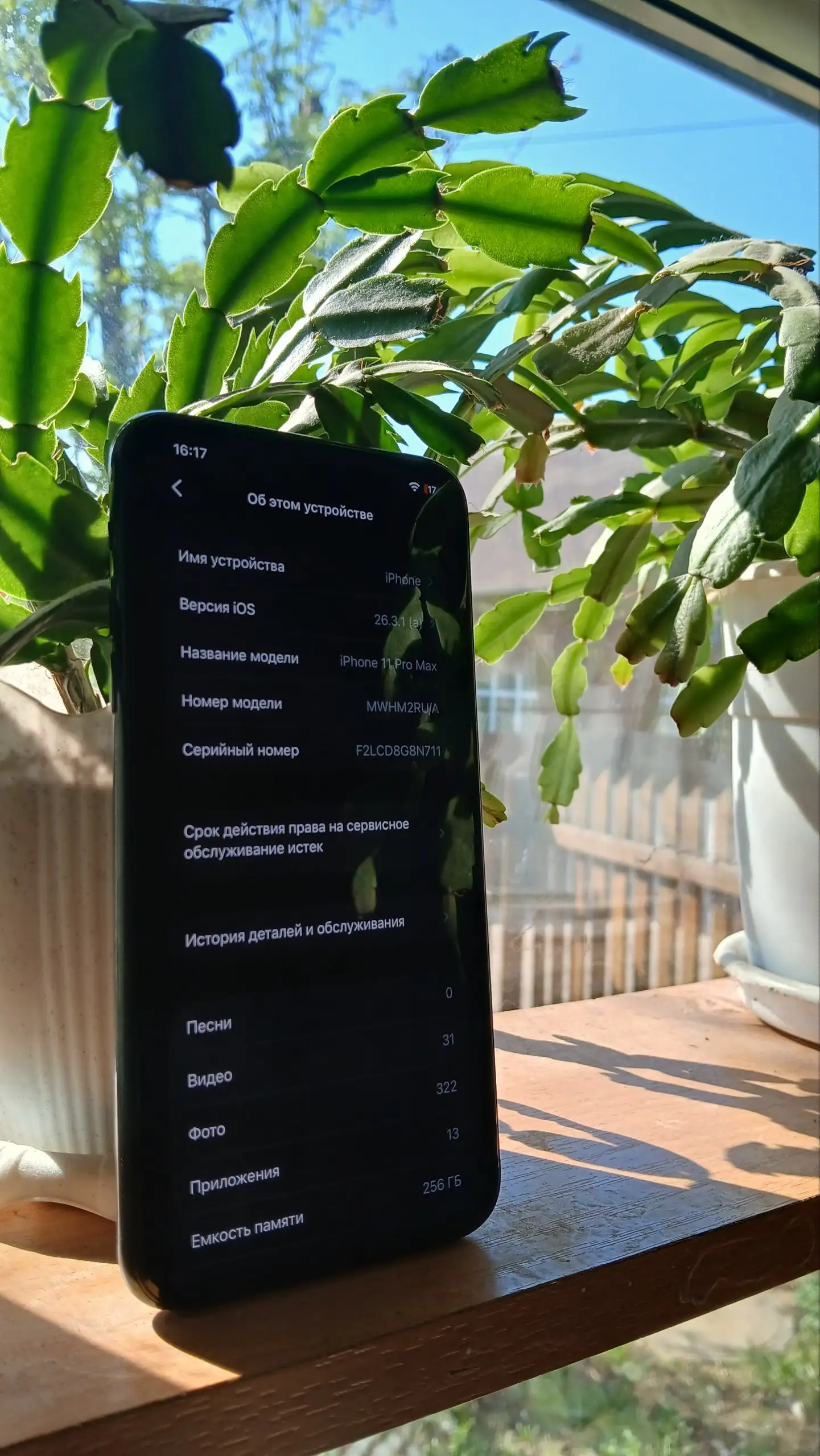 iPhone 11 Pro Max 256GB Темный Лес - Смартфоны (Электроника) в Пермь