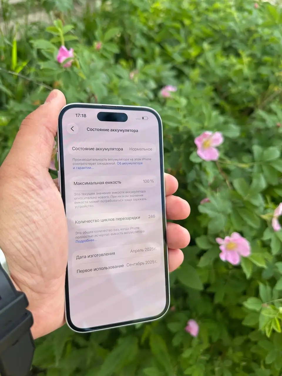 Apple iPhone в Перми - Смартфоны и телефоны (Электроника) в Пермь