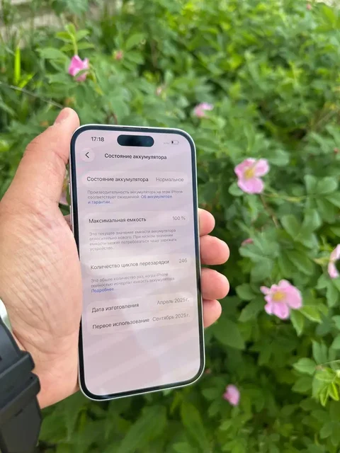 iPhone 256GB 100% АКБ - Умные часы в Пермь