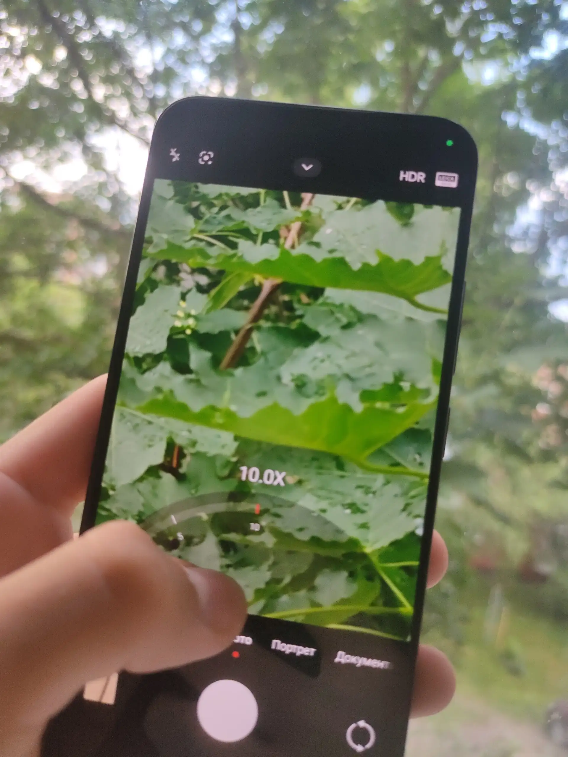 Xiaomi 14 256GB с дефектами - Смартфоны (Электроника) в Пермь