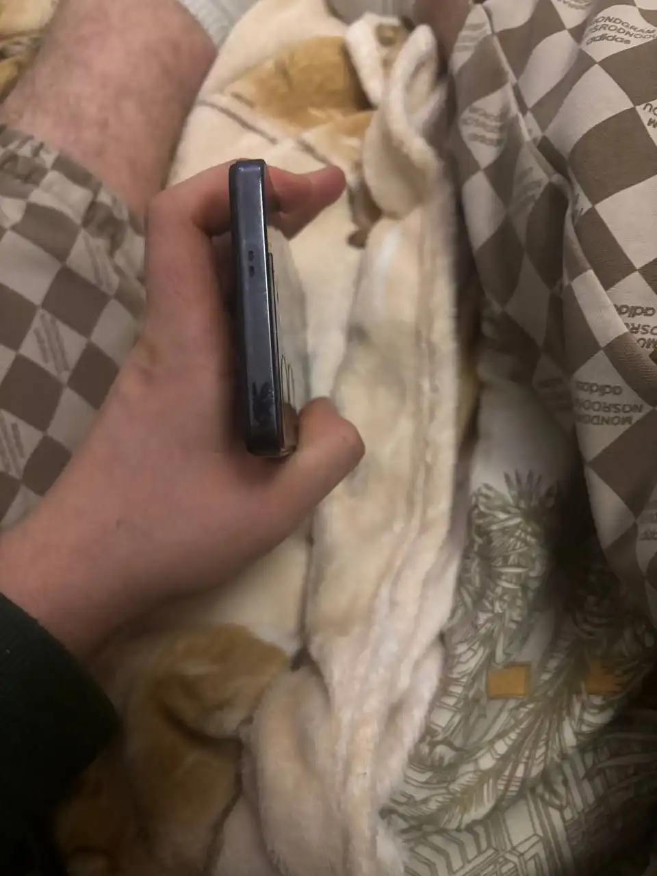 Обмен техно поло 5 на 128гб оперативной памяти 4+4 - Смартфоны (Электроника) в Пермь