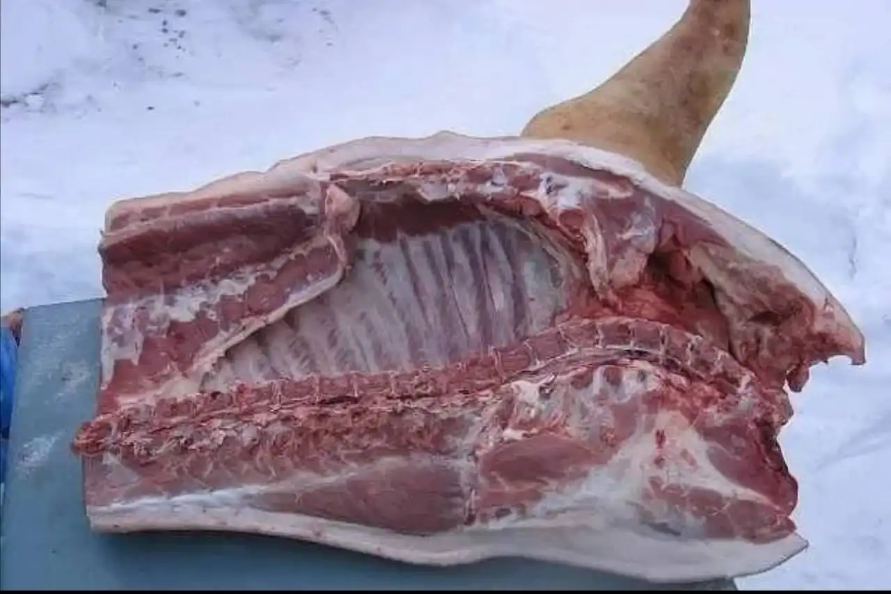 Продажа свежего мяса от 10 кг