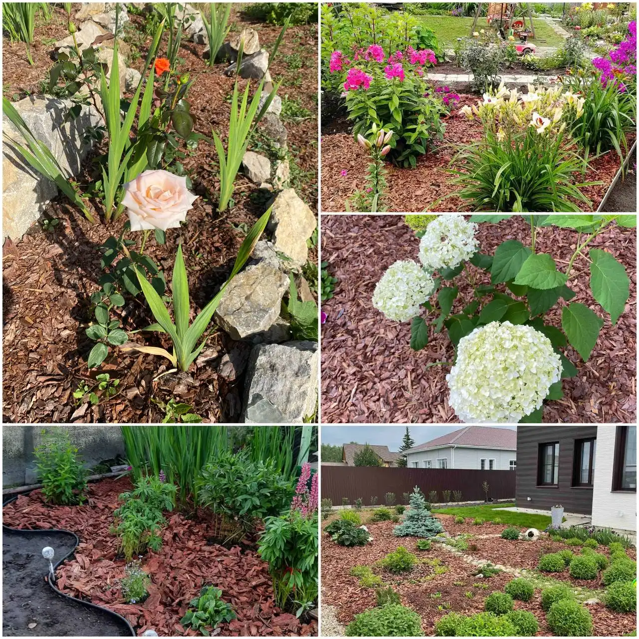 Бронирование коры лиственницы на следующий год