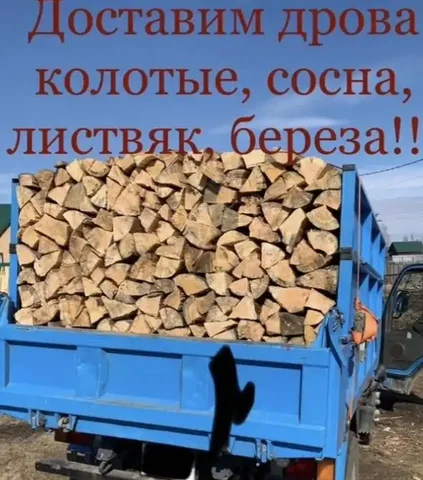 Колотые дрова и чурки из сосны, лиственницы и березы - Растения в Иркутск