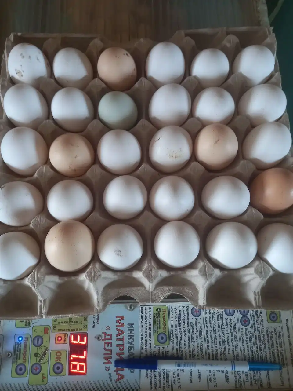 Продажа куриных яиц 30 штук - Продукты питания (Барахолка) в Иркутск