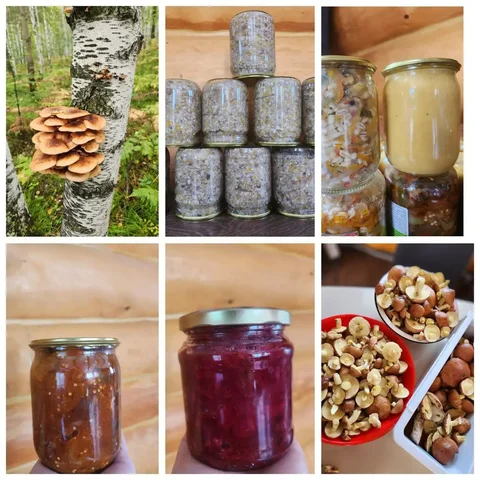 Продажа домашних блинов, паштета и солений в Иркутске - частное объявление в Иркутск