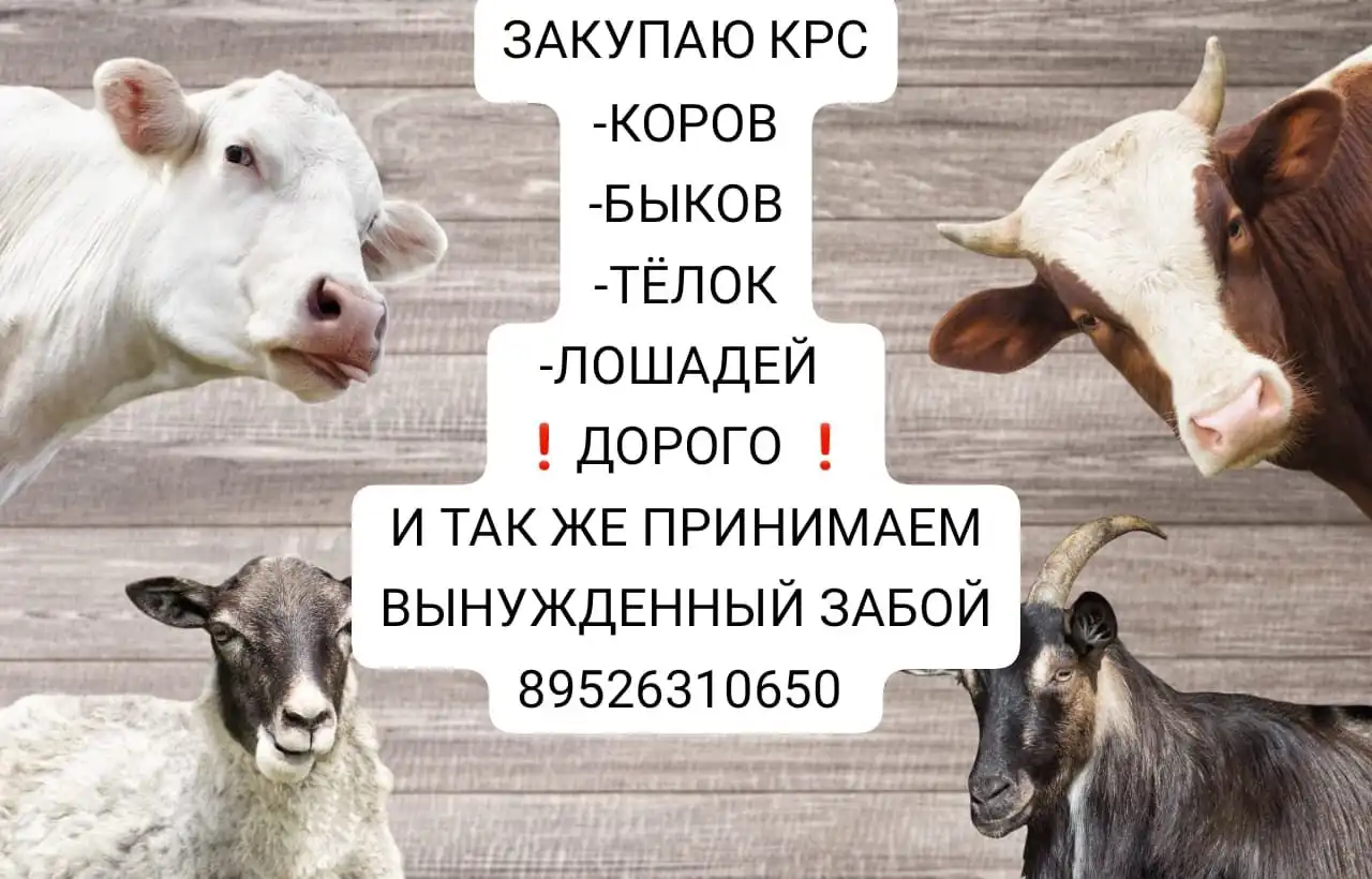 Продажа кирпича красного и силикатного в Иркутске - Строительные материалы (Для дома и дачи) в Иркутск