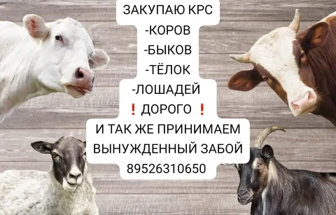 Продажа кирпича красного и силикатного в Иркутске - частное объявление в Иркутск