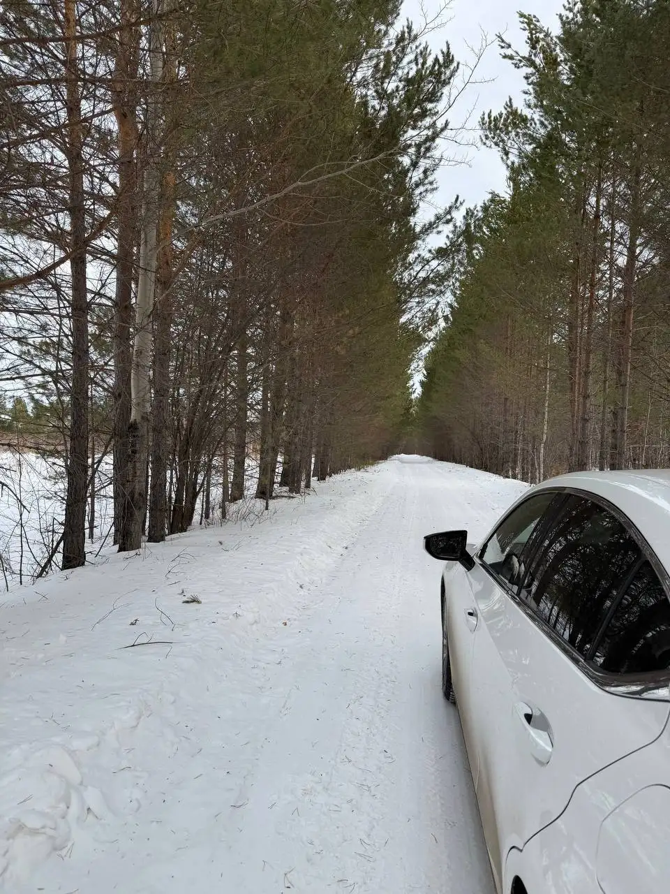 Участок ИЖС 15 соток в Большой речке - Земля (Недвижимость) в Большая речка