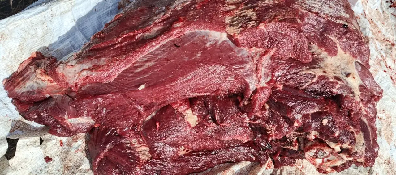 Шея говяжья свежая с доставкой - Барахолка в Иркутск