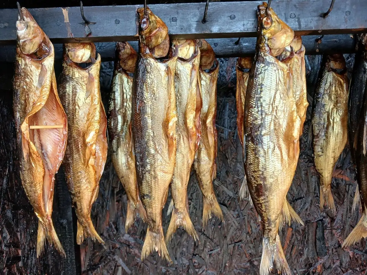 Омуль холодного копчения - Рыба (Продукты питания) в Иркутск