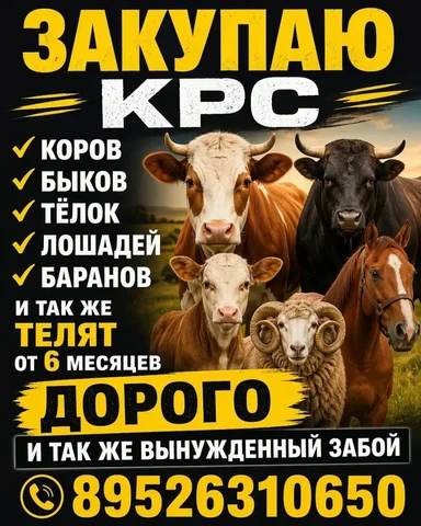 Кронштейны для светильников и перекладина для ковров - Растения и саженцы в Иркутск