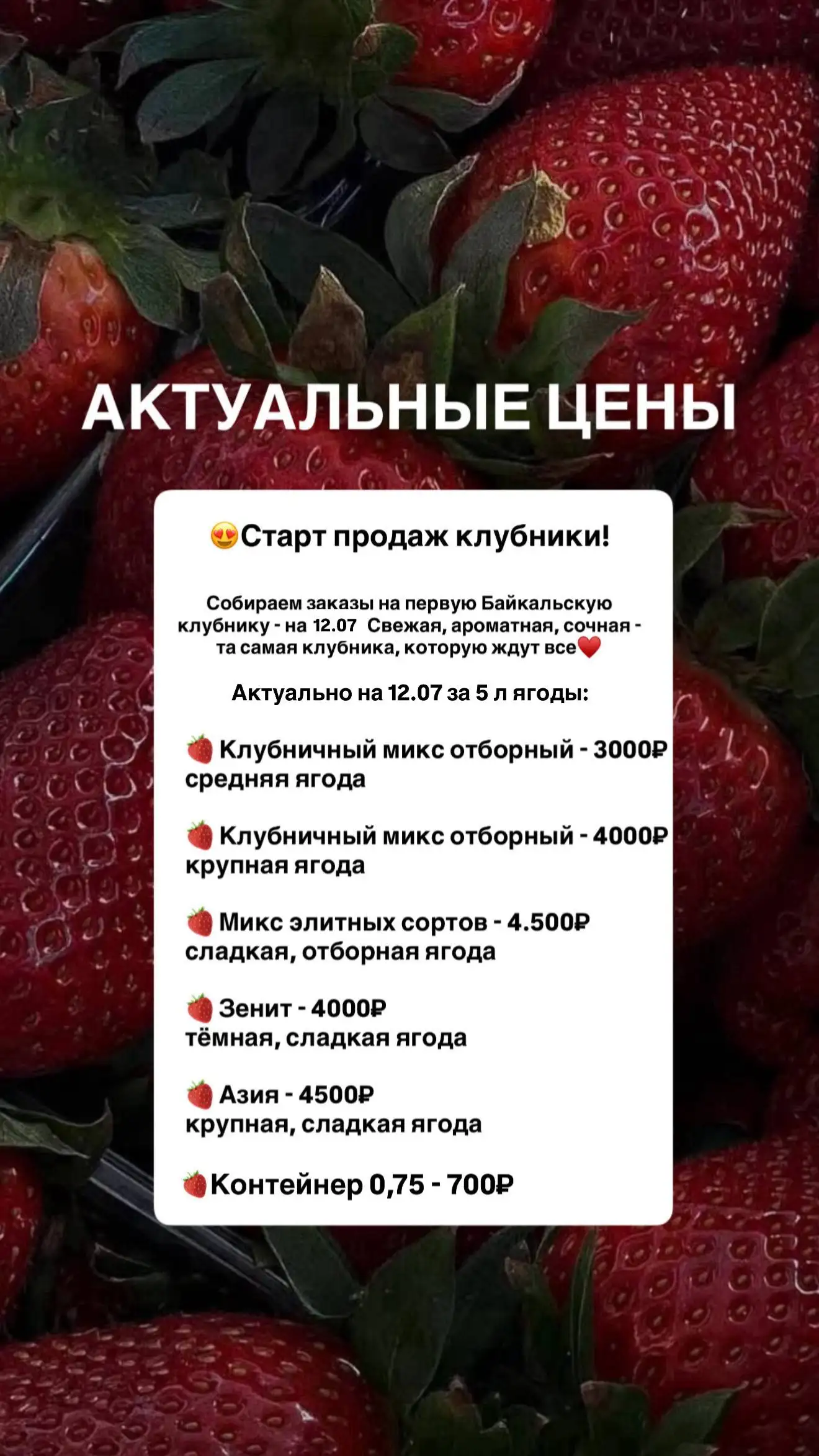 Продажа клубники из Байкальского региона - Фрукты и ягоды (Еда) в Иркутск