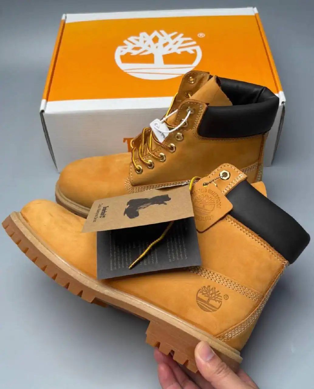 Timberland Classic 6" Boots — Wheat