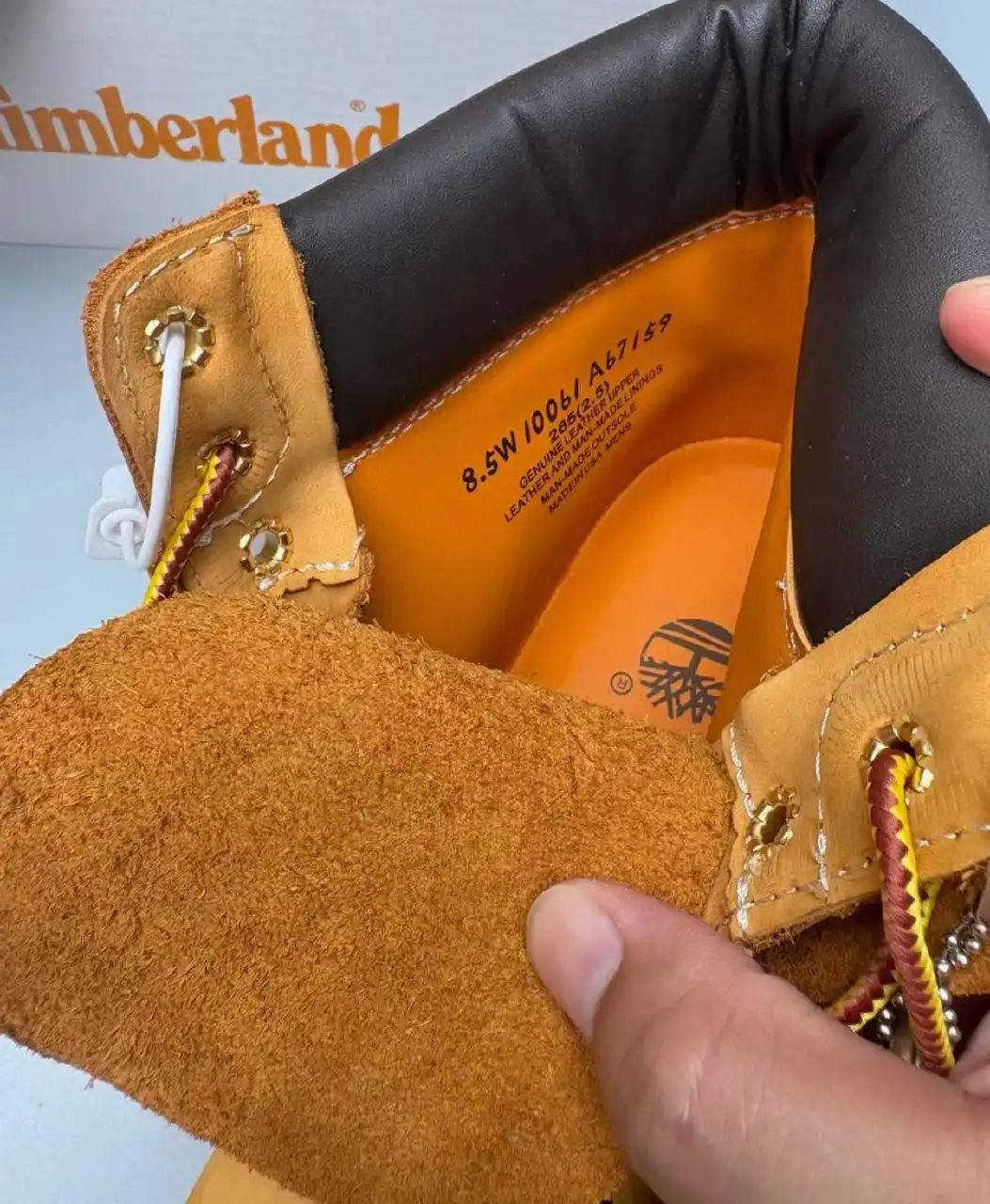 Timberland Classic 6" Boots — Wheat