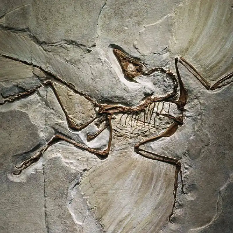 Открытие первого в мире магазина-музея Arcteryx в Шанхае - Одежда в Шанхай