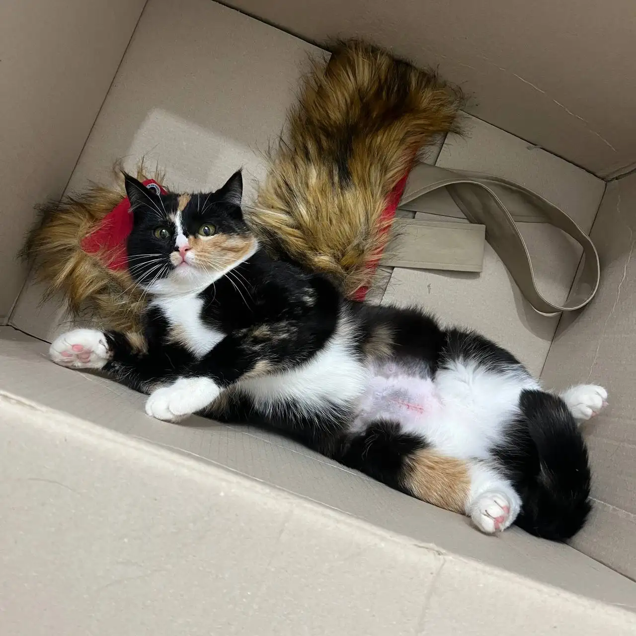 Проблема с посылкой от поставщика - Барахолка в Архангельск