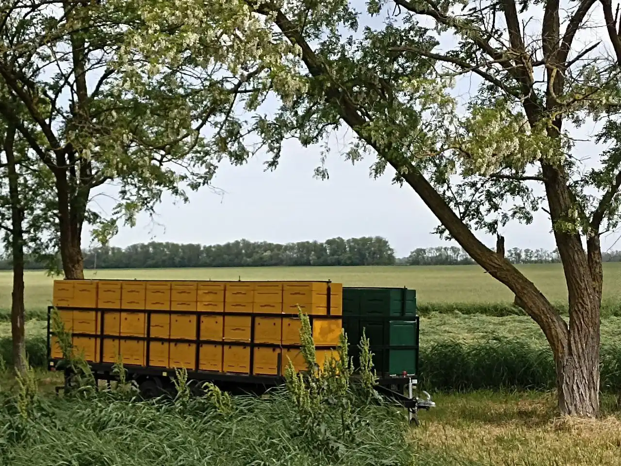 Продажа натурального мёда урожая 2025 года