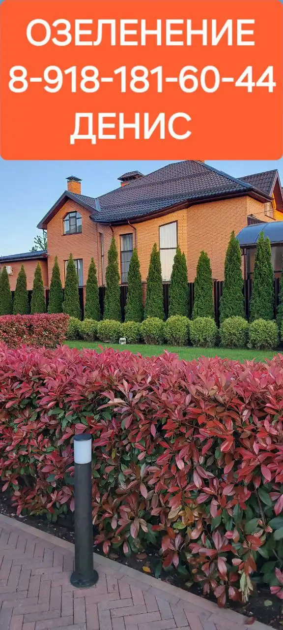 Продажа автомобиля в Краснодаре