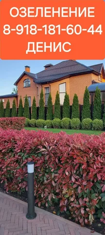 Продажа автомобиля в Краснодаре - Авто в Краснодар