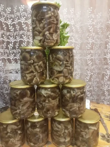 Маринованные опята и икра из опят - Хобби и отдых в Иркутск