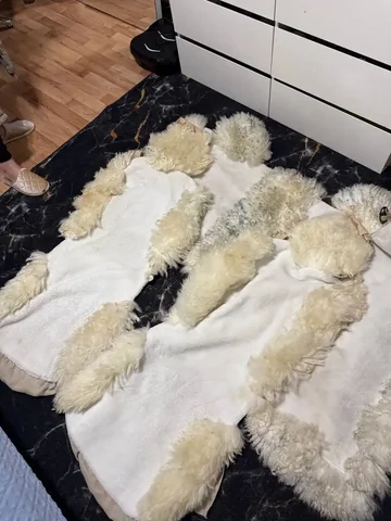 Чехлы на машину - Авто в Иркутск