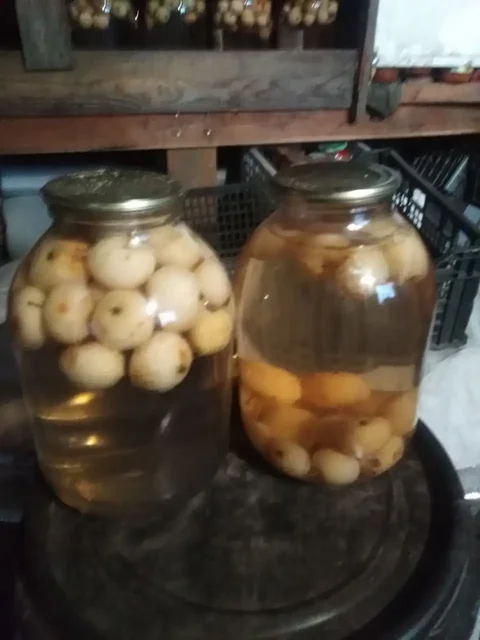 Продам домашнее соленье и варенье - Рюкзаки в Иркутск