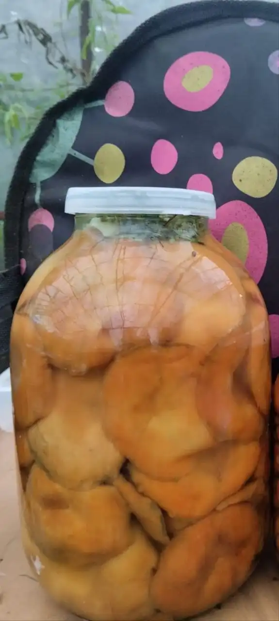 Продам солёные рыжики 3 литра - Продукты питания (Барахолка) в Иркутск