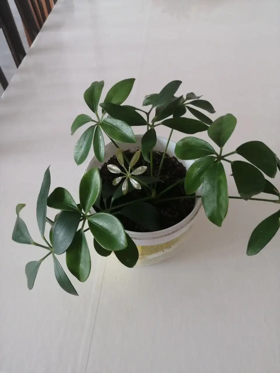 Продам телефон - Мобильные телефоны (Электроника) в Иркутск