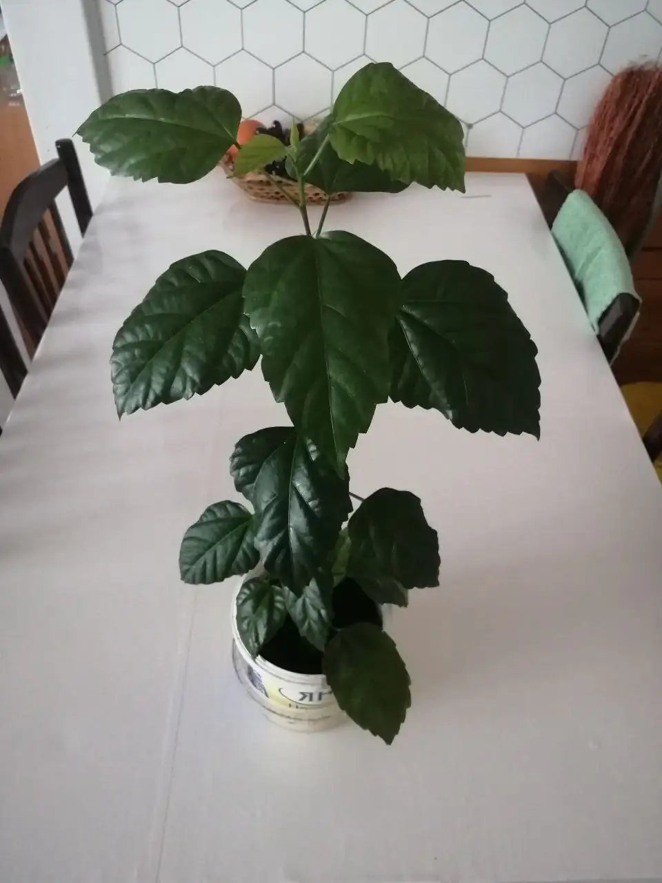 Продам телефон - Мобильные телефоны (Электроника) в Иркутск