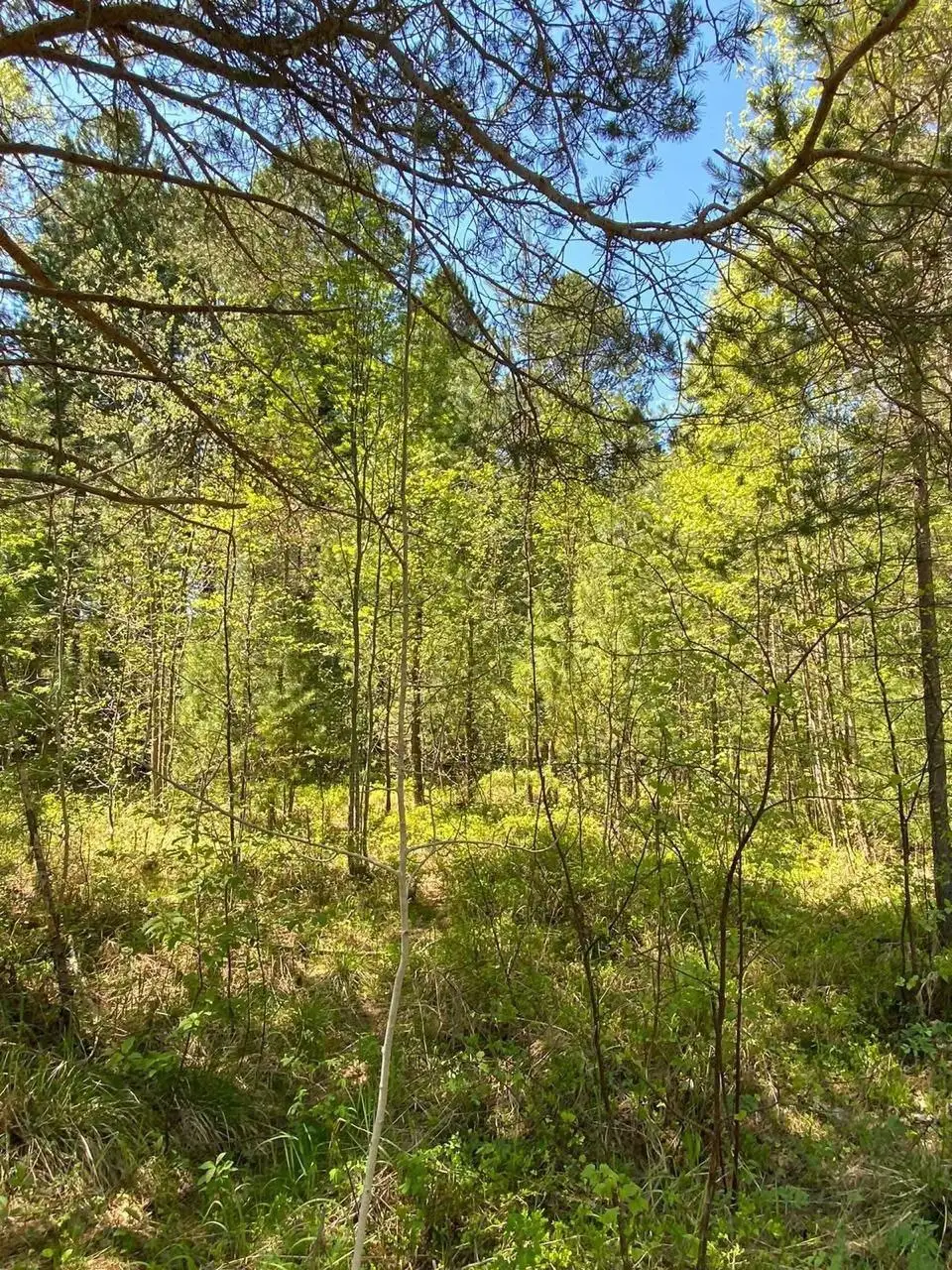 Продажа земельного участка в п. Мурино, Иркутская область - Земельные участки (Недвижимость) в п. Мурино