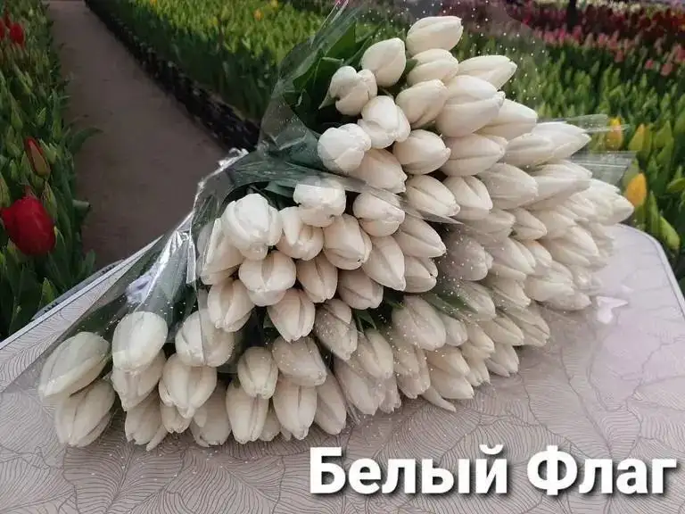 Свежие тюльпаны от местного производителя - Цветы (Хобби и отдых) в Иркутск