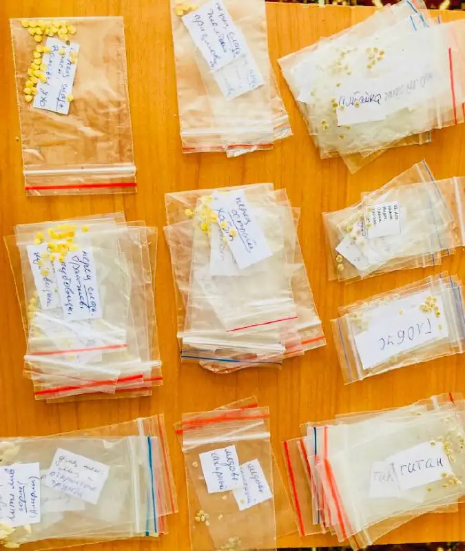 Продажа семян овощей и рассады - Сад и огород (Хобби и отдых) в Пивовариха